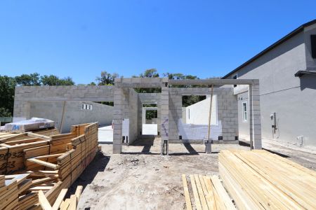 New construction Single-Family house 2530 Sunny Pebble Loop, Zephyrhills, FL 33540 Salinas- photo 7 7
