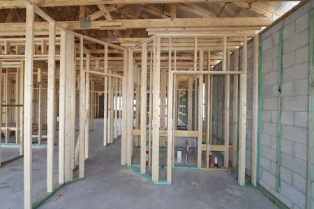 New construction Single-Family house 9465 Crescent Ray Drive, Wesley Chapel, FL 33545 Barcello- photo 15 15