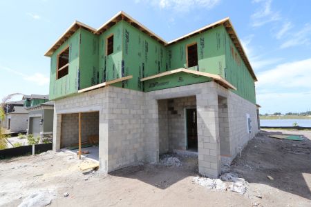 New construction Single-Family house 2881 Misty Marble Drive, Zephyrhills, FL 33540 Castellana- photo 14 14
