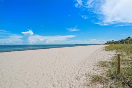 Beach Photo