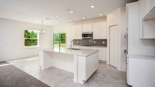 New construction Single-Family house 206 Barrington Drive, Haines City, FL 33844 - photo 18 18