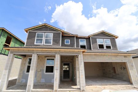 New construction Single-Family house 31835 Sapna Chime Drive, Wesley Chapel, FL 33545 Salinas- photo 54 54