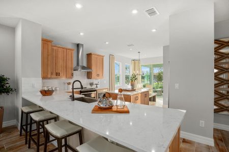 New construction Single-Family house 12471 Shipwatch Street, Orlando, FL 32832 - photo 7 7