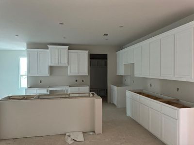 New construction Single-Family house 1320 San Marcus Drive, Springtown, TX 76082 Nueces- photo 9 9