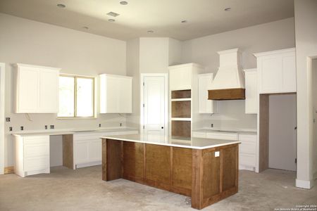 New construction Single-Family house 1136 Crystal Falls, Spring Branch, TX 78070 - photo 5 5