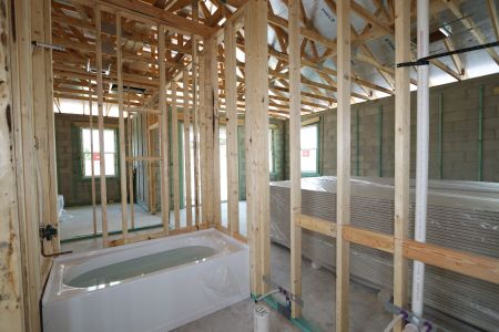 New construction Single-Family house 4837 Foxglove Circle, Lakeland, FL 33811 Picasso- photo 24 24