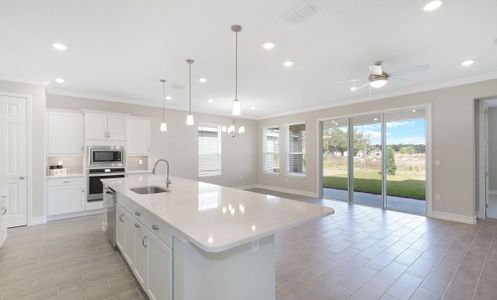 New construction Single-Family house 4465 Nw 53Rd Avenue Rd, Ocala, FL 34482 Connect Exterior B- photo 10 10