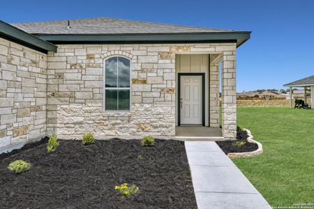 New construction Single-Family house 242 Colonial Ln, La Vernia, TX 78121 - photo 1 1
