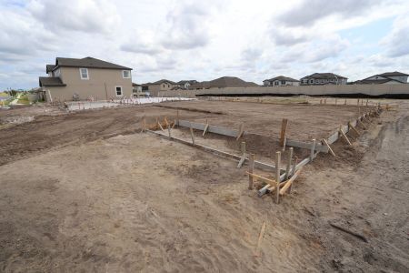 New construction Single-Family house 32556 Sapna Chime Drive, Wesley Chapel, FL 33545 Dali- photo 5 5