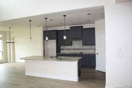 New construction Single-Family house 2556 Windle Ln, Seguin, TX 78155 - photo 9 9