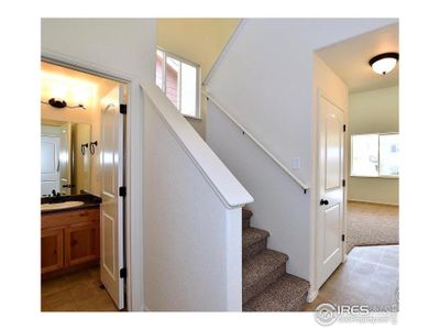 New construction Single-Family house 10221 16Th St Rd, Greeley, CO 80634 - photo 4 4