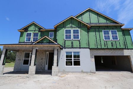 New construction Single-Family house 10634 New Morning Drive, Tampa, FL 33647 Grandshore II- photo 26 26