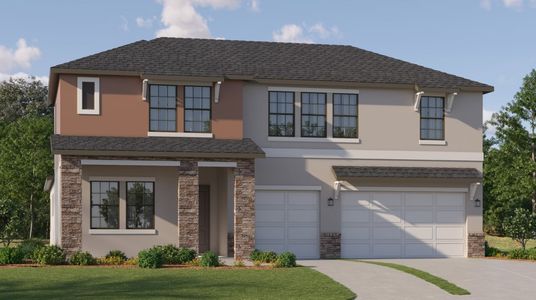 New construction Single-Family house 8346 Painted Sky Place, Land O' Lakes, FL 34637 Rainer- photo 0