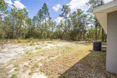 New construction Single-Family house 117 Nw Sparrow Road, Dunnellon, FL 34431 - photo 50 50