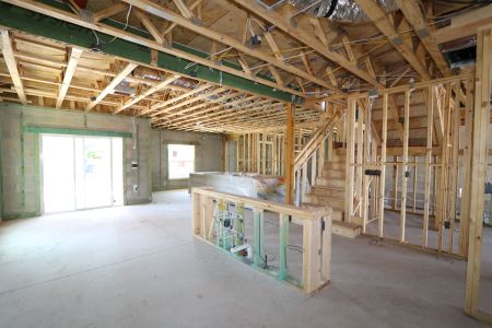 New construction Single-Family house 12383 Hilltop Farms Drive, Dade City, FL 33525 Malibu- photo 58 58