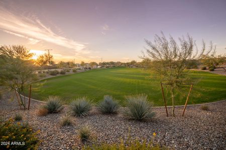 New construction Single-Family house 16116 W Cielo Grande Avenue, Surprise, AZ 85387 - photo 16 16