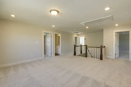 New construction Single-Family house 25 Long Needle Court, Youngsville, NC 27596 Davidson- photo 32 32