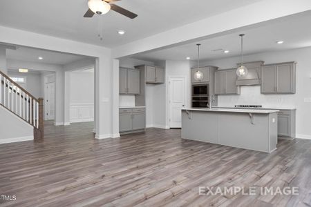 New construction Single-Family house 62 Golden Leaf Farms Road, Angier, NC 27501 The Cypress C II- photo 6 6