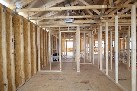 New construction Single-Family house 31823 Sapna Chime Drive, Wesley Chapel, FL 33545 Mira Lago- photo 31 31