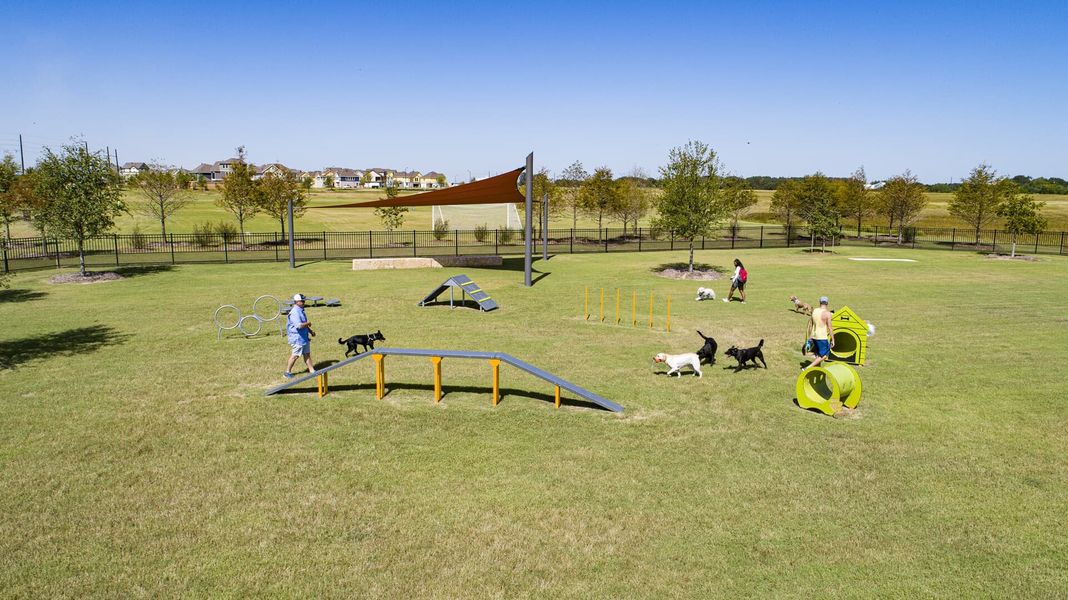 Pooch Play Structures