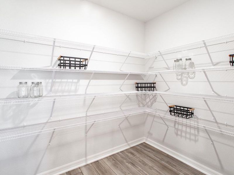 Throughout your home, you will appreciate convenient features such as this walk-in pantry - Serendipity model home in Zephyrhills