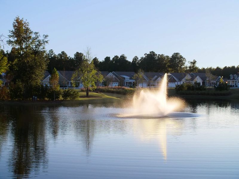 Neighborhood pond at Cresswind Charleston