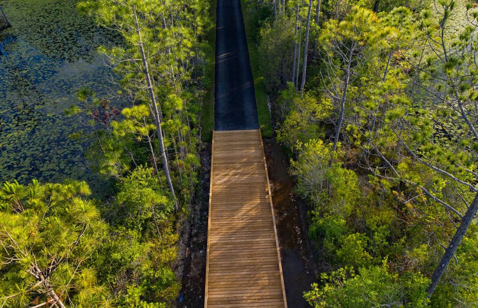 Serene Nature Trails