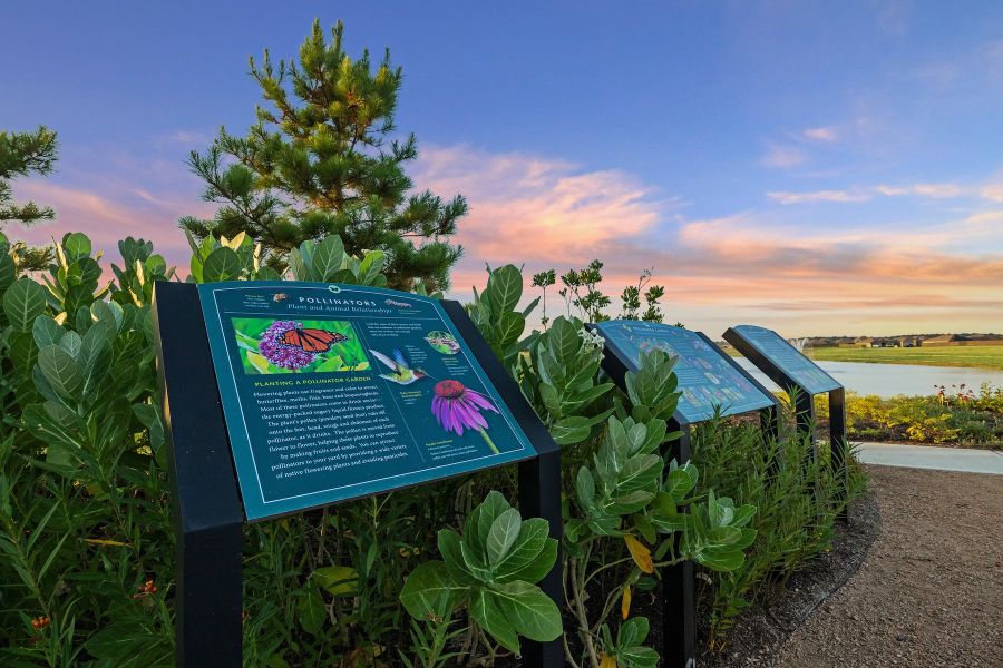 Harrington Trails Amenities