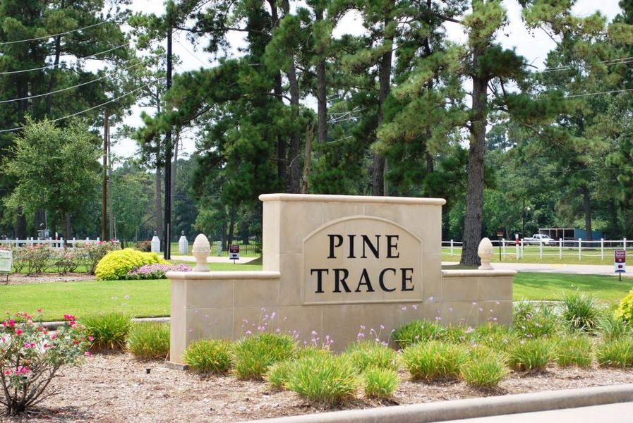 Pine Trace by Megatel Homes in Tomball - photo