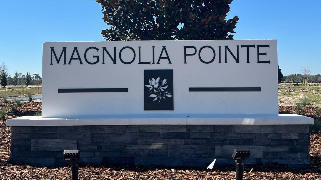 Magnolia Pointe Express Series by D.R. Horton in Umatilla - photo