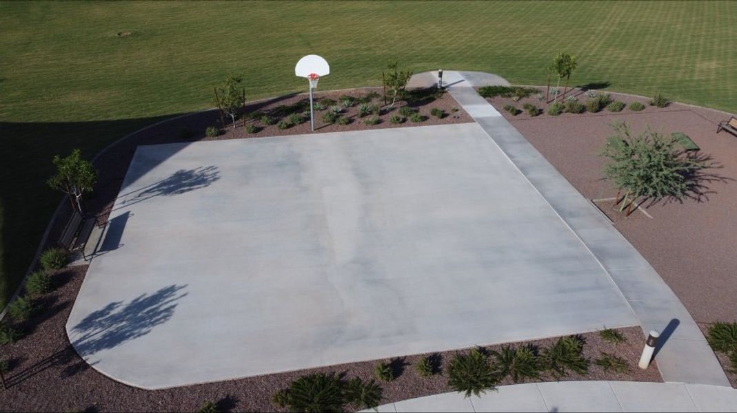 Basketball court