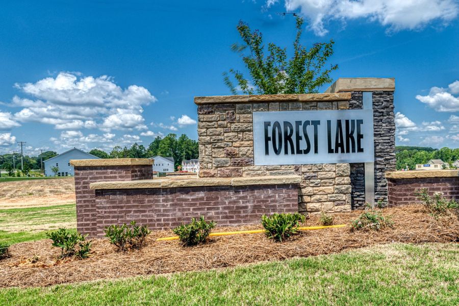 Forest Lake Townes by Tri Pointe Homes in Mooresville - photo