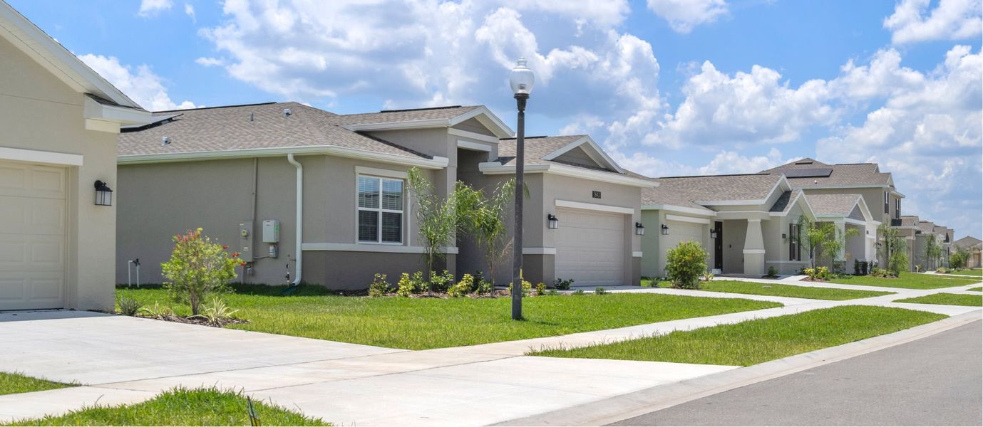 Streetscape of Majestic Oaks homes