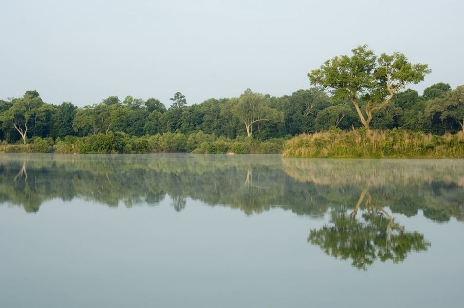 Sunrise over Village Pond