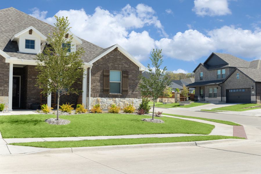 Streetscape of our 60' product at Meritage Homes in DFW.