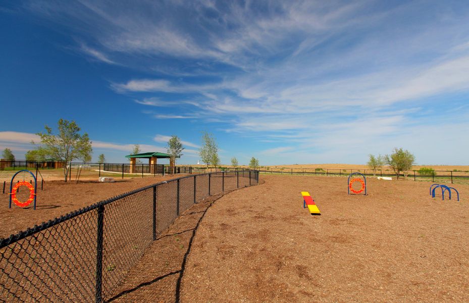 Community Dog Park