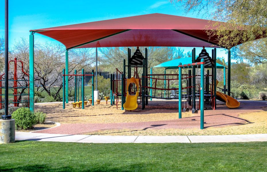 Community Playground