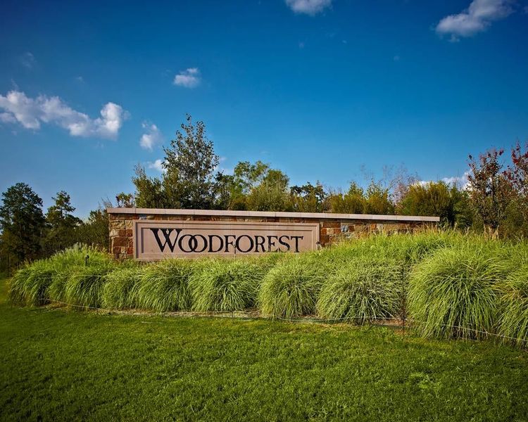 Woodforest 50' by Perry Homes in Montgomery - photo