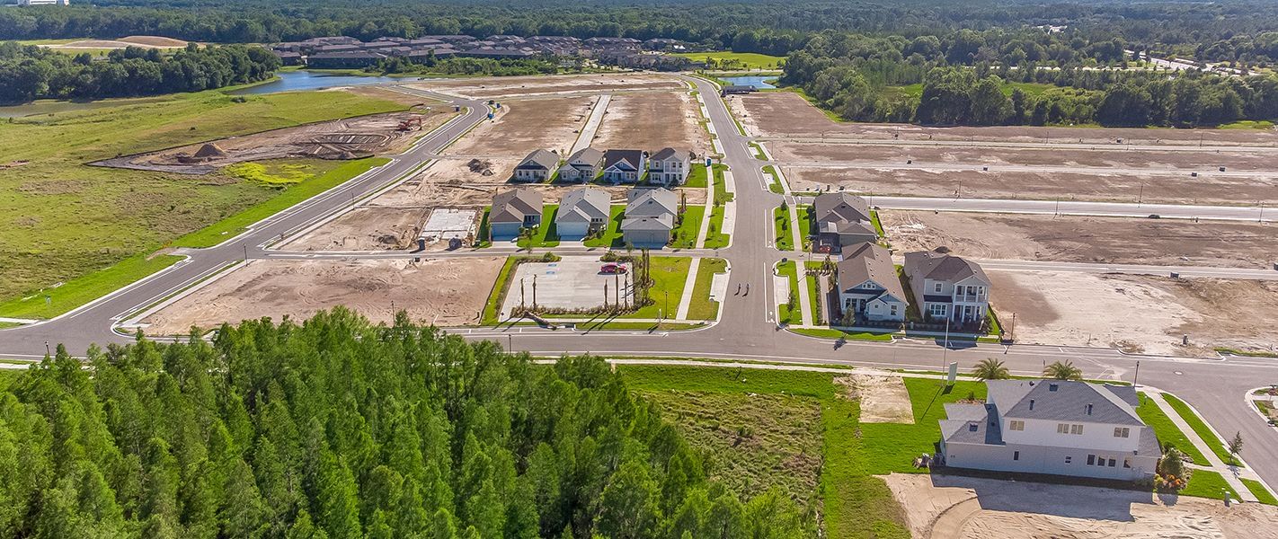 Persimmon Park by ICI Homes in Wesley Chapel - photo
