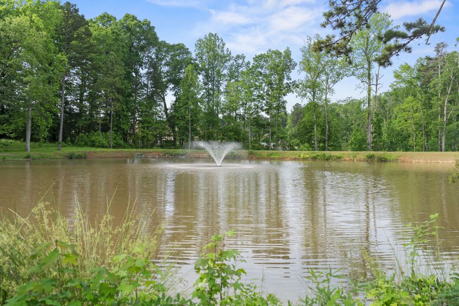 Fishing Lake at McEwen Village in Mint Hill