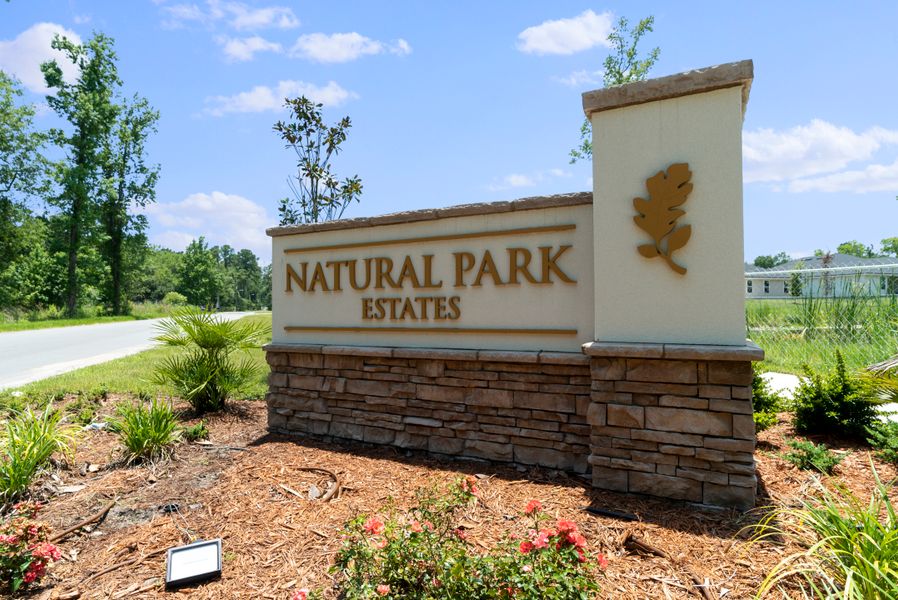 Natural Park Estates by Adams Homes in Jacksonville - photo