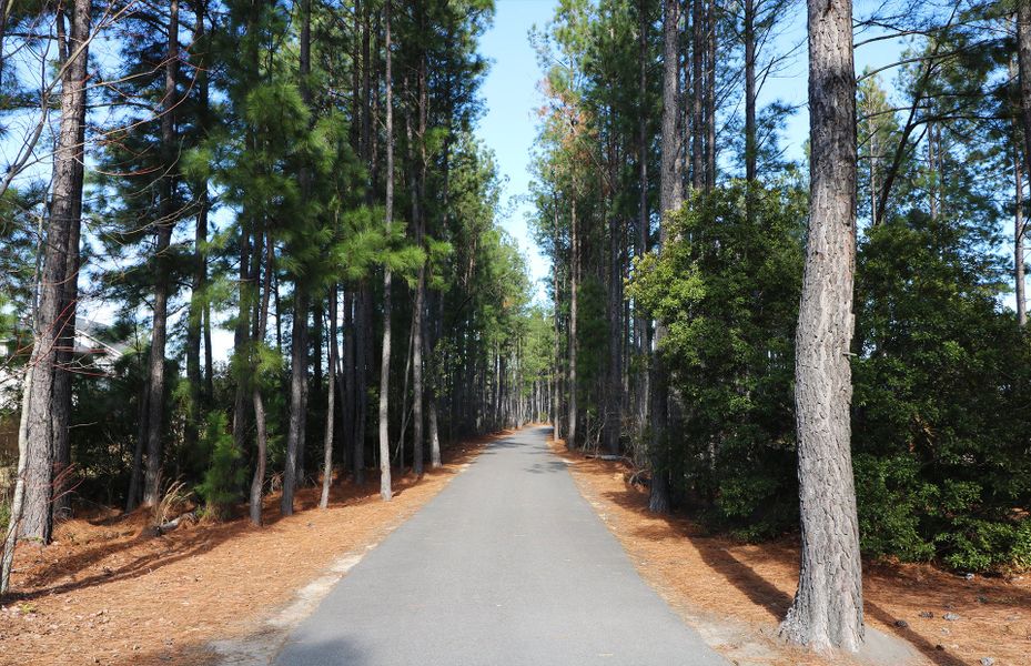 Nature Trails