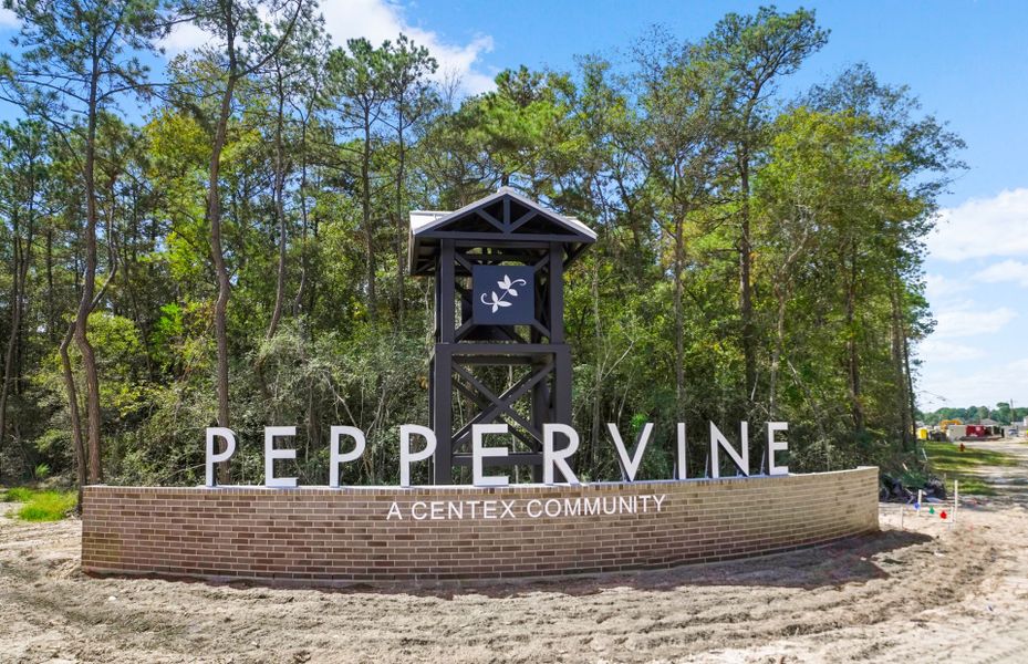 Peppervine by Centex in Porter - photo