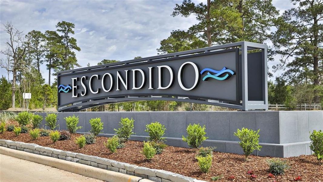 Escondido 50' by Perry Homes in Magnolia - photo