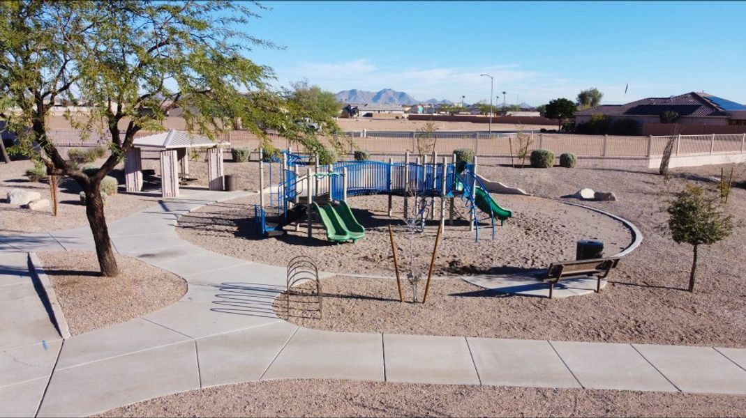 Playground with jungle gym