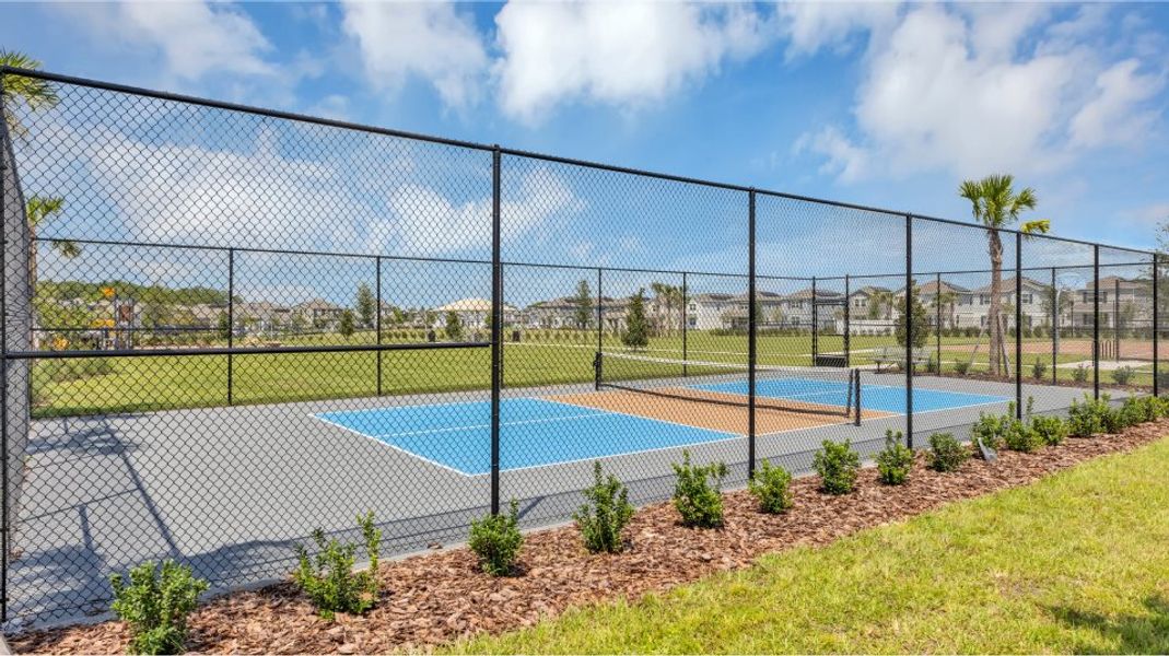 Pickleball court