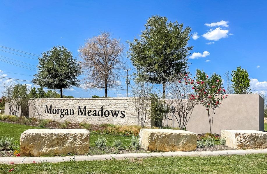 Morgan Meadows by Beazer Homes in San Antonio - photo