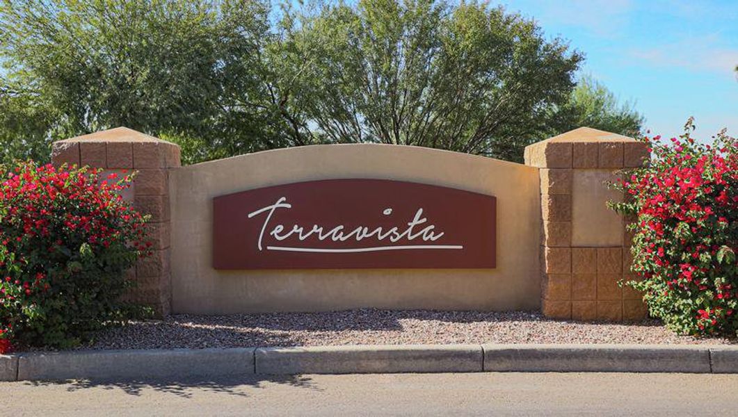 Terravista by LGI Homes in Youngtown - photo