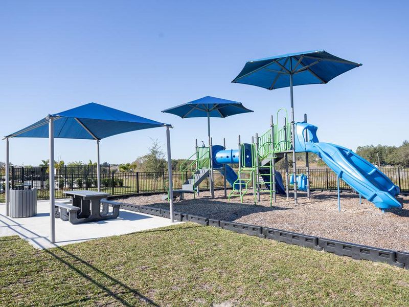 ...Along with a playground, open play area, and shaded seating.