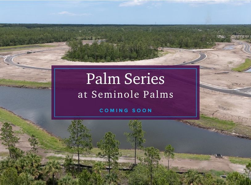 seminole 30s - palm coming soon (5)